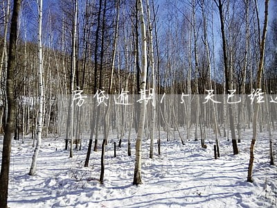 房贷逾期15天已经还清