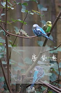 房贷逾期15天还款的后果