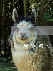 房贷逾期170万 房贷逾期170万