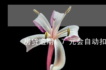 房贷逾期17元会自动扣吗