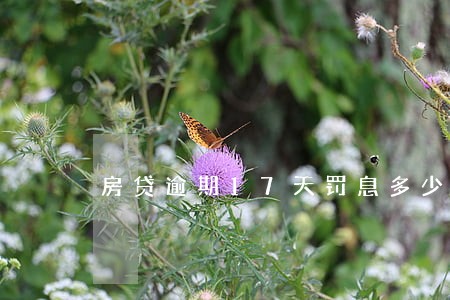 房贷逾期17天罚息多少