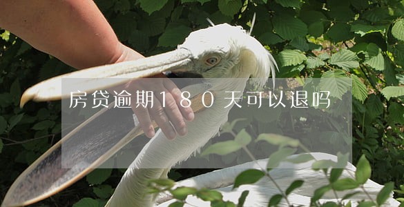 房贷逾期180天可以退吗