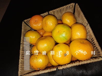 房贷逾期18个小时 房贷逾期18个小时