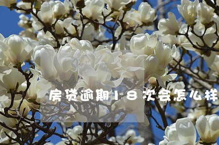 房贷逾期18次会怎么样