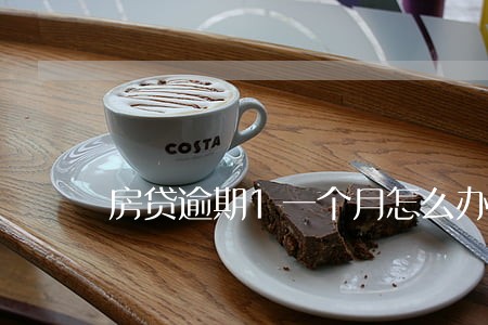 房贷逾期1一个月怎么办 房贷逾期1一个月怎么办