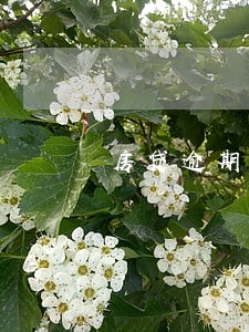 房贷逾期1万算不算还没还的 房贷逾期1万算不算还没还的