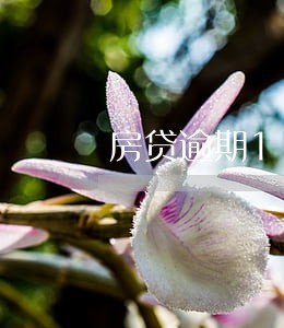 房贷逾期1个小时 房贷逾期1个小时