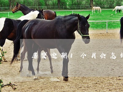 房贷逾期1个月会怎样 房贷逾期1个月会怎样