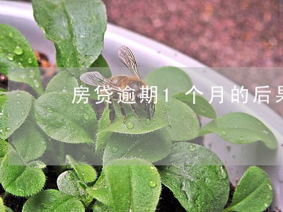 房贷逾期1个月的后果 房贷逾期1个月的后果