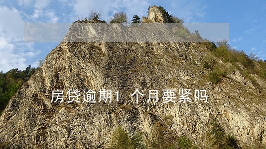 房贷逾期1个月要紧吗 房贷逾期1个月要紧吗