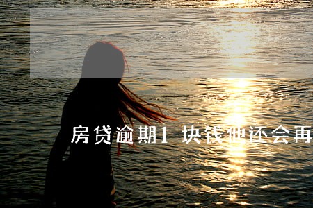 房贷逾期1块钱他还会再扣吗 房贷逾期1块钱他还会再扣吗