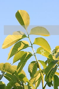 房贷逾期1天上了金融数据库 房贷逾期1天上了金融数据库