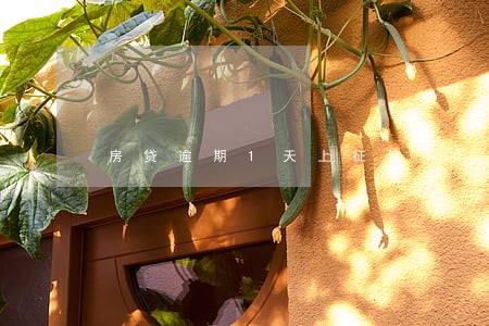 房贷逾期1天上征信不