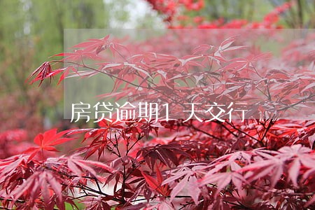 房贷逾期1天交行