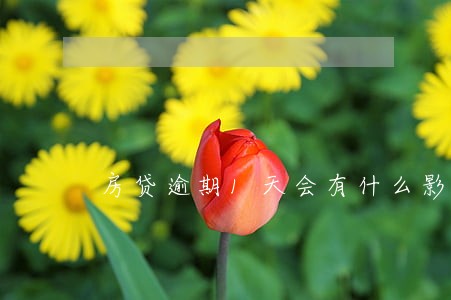 房贷逾期1天会有什么影响