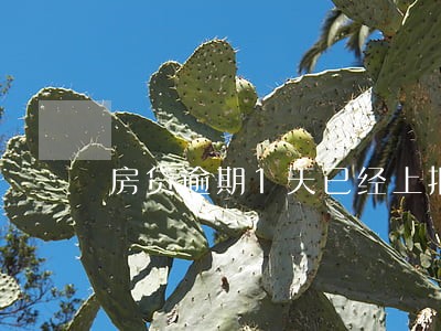 房贷逾期1天已经上报 房贷逾期1天已经上报