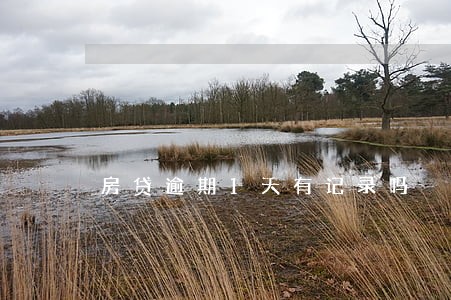 房贷逾期1天有记录吗 房贷逾期1天有记录吗