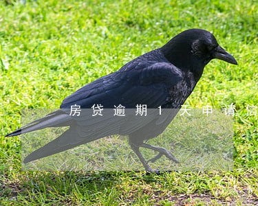 房贷逾期1天申请信用卡 房贷逾期1天申请信用卡