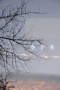房贷逾期1天还款 房贷逾期1天还款
