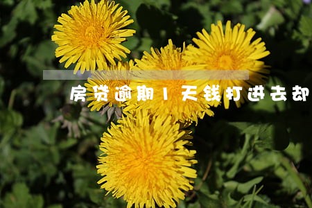 房贷逾期1天钱打进去却不扣款 房贷逾期1天钱打进去却不扣款