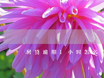 房贷逾期1小时怎么办 房贷逾期1小时怎么办