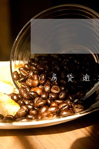 房贷逾期1年 房贷逾期1年