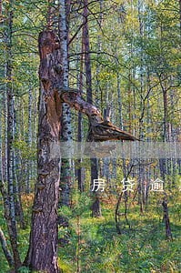 房贷逾期1年了 房贷逾期1年了