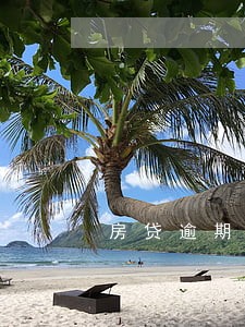 房贷逾期1年可以卖吗 房贷逾期1年可以卖吗
