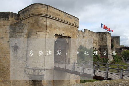 房贷逾期1年处理方案 房贷逾期1年处理方案