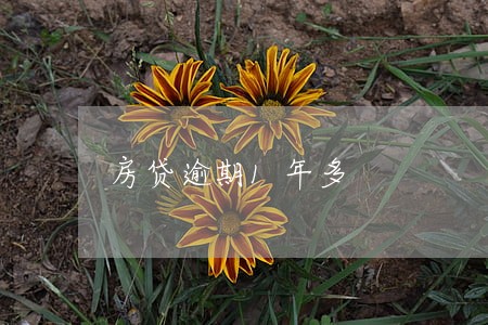 房贷逾期1年多 房贷逾期1年多