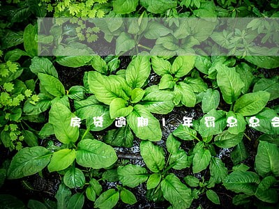 房贷逾期1年罚息息会有多少 房贷逾期1年罚息息会有多少
