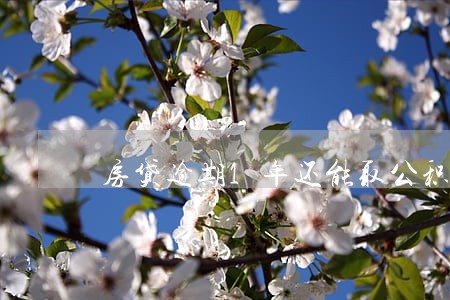 房贷逾期1年还能取公积金吗 房贷逾期1年还能取公积金吗