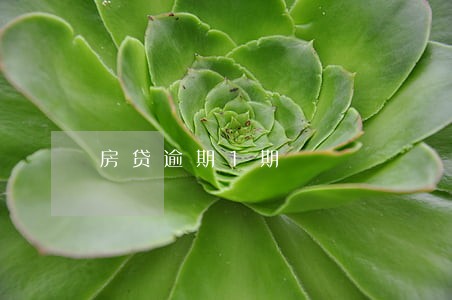 房贷逾期1期 房贷逾期1期