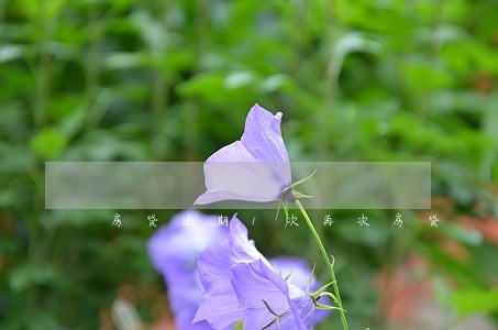 房贷逾期1次再次房贷 房贷逾期1次再次房贷