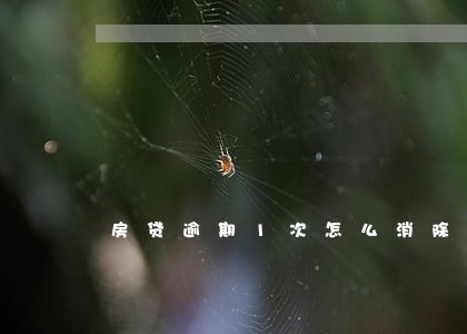房贷逾期1次怎么消除 房贷逾期1次怎么消除