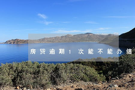 房贷逾期1次能不能办信用卡 房贷逾期1次能不能办信用卡
