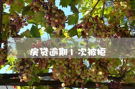 房贷逾期1次被拒 房贷逾期1次被拒