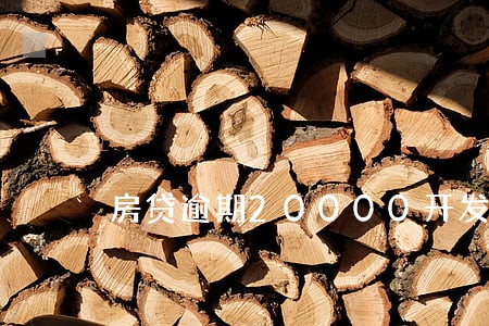 房贷逾期20000开发商垫付 房贷逾期20000开发商垫付