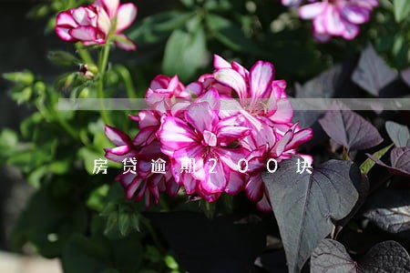 房贷逾期200块 房贷逾期200块