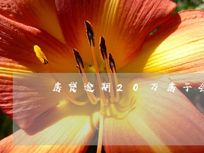 房贷逾期20万房子会被收回吗 房贷逾期20万房子会被收回吗