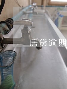 房贷逾期20个月 房贷逾期20个月