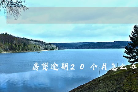 房贷逾期20个月怎么办 房贷逾期20个月怎么办