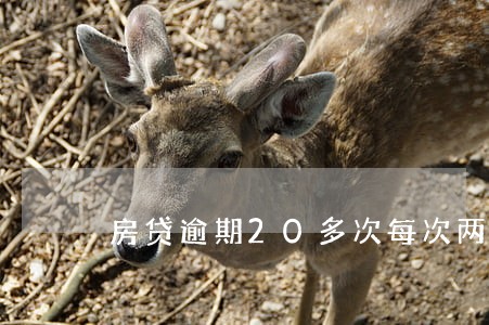房贷逾期20多次每次两三天 房贷逾期20多次每次两三天