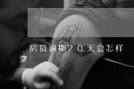 房贷逾期20天会怎样 房贷逾期20天会怎样