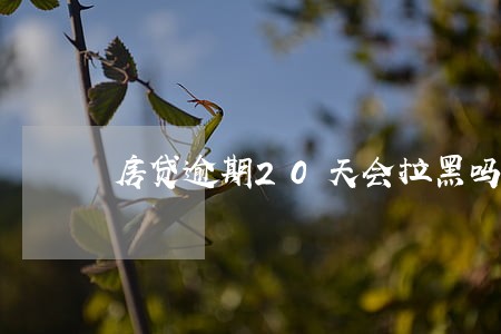 房贷逾期20天会拉黑吗 房贷逾期20天会拉黑吗