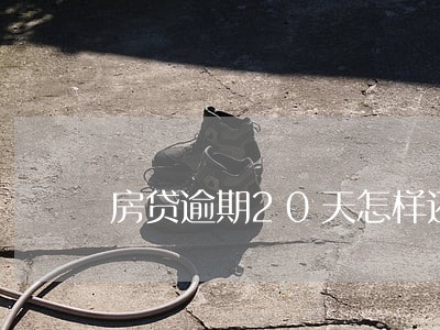 房贷逾期20天怎样还款 房贷逾期20天怎样还款