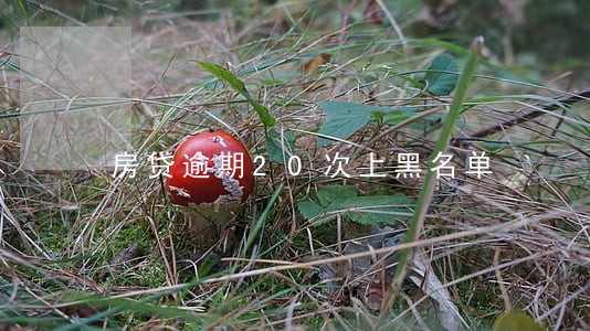 房贷逾期20次上黑名单 房贷逾期20次上黑名单