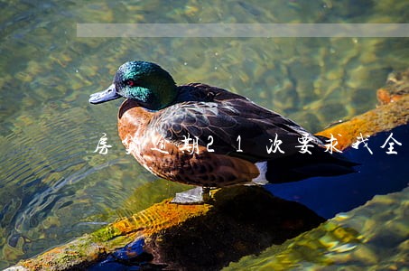房贷逾期21次要求我全款还上 房贷逾期21次要求我全款还上