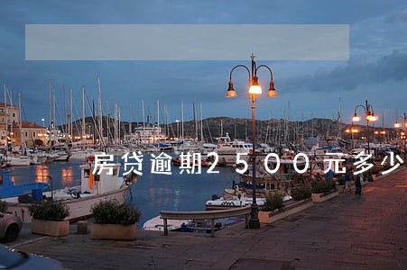 房贷逾期2500元多少天 房贷逾期2500元多少天