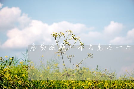 房贷逾期2个月先还一个月 房贷逾期2个月先还一个月